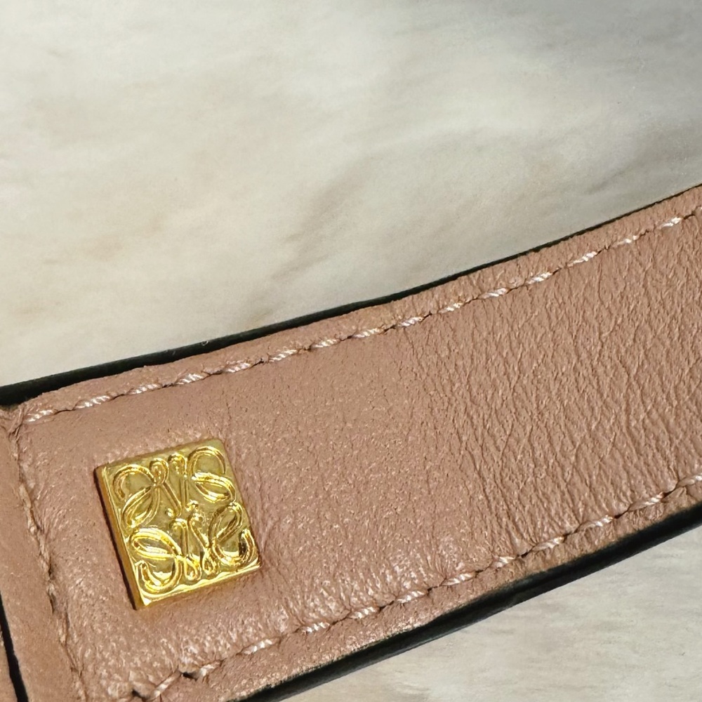 Loewe Tricolor Puzzle Bag - Picture 8 of 14